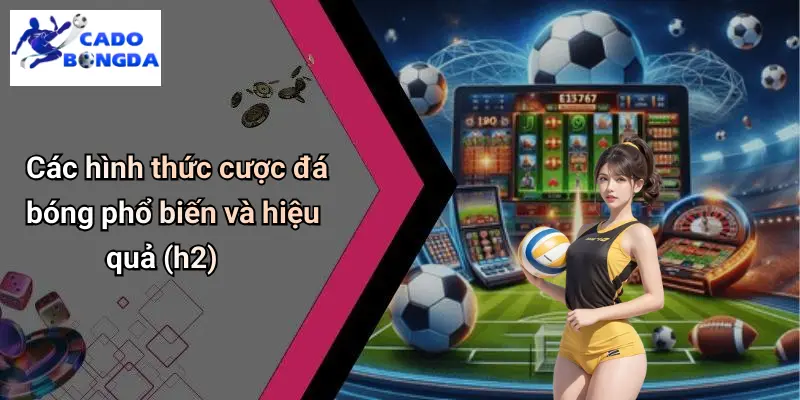 Cá độ bóng đá 71 Cá Độ Bóng Đá