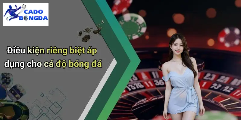 Điều Khoản Điều Kiện 3 Điều Khoản Điều Kiện