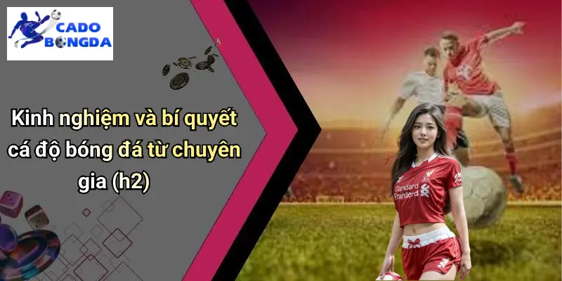 Cá độ bóng đá 70 Cá Độ Bóng Đá