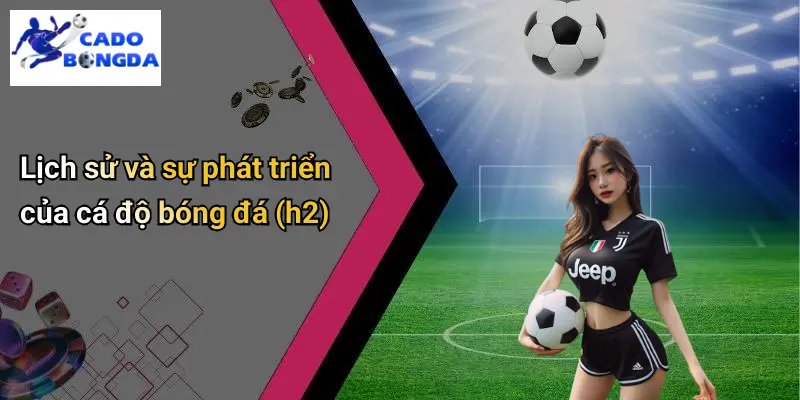 Cá độ bóng đá 67 Cá Độ Bóng Đá