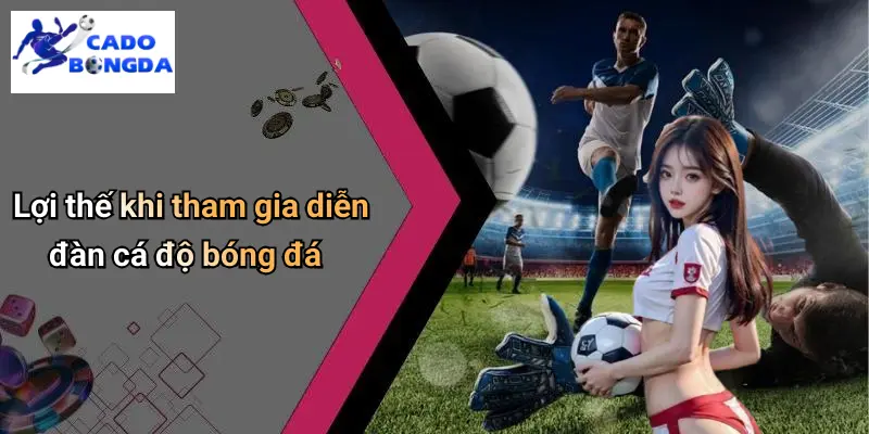 Giới Thiệu 4 Giới Thiệu