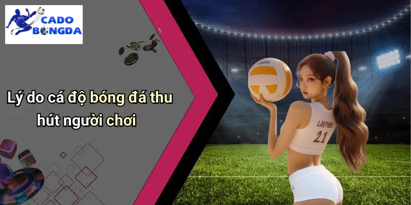 Giới Thiệu 2 Giới Thiệu
