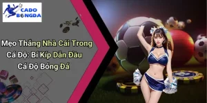 Mẹo Thắng Nhà Cái Trong Cá Độ