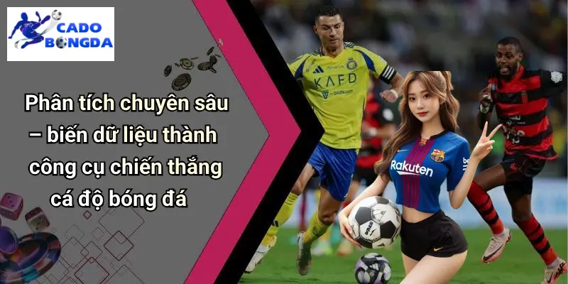 Tin Tức Bóng Đá