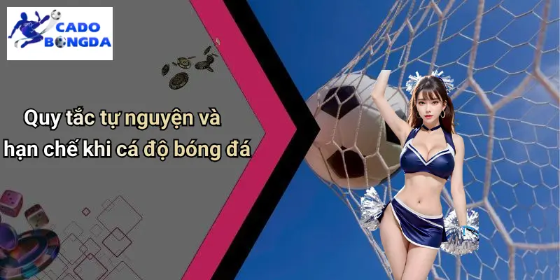 Điều Khoản Điều Kiện 4 Điều Khoản Điều Kiện