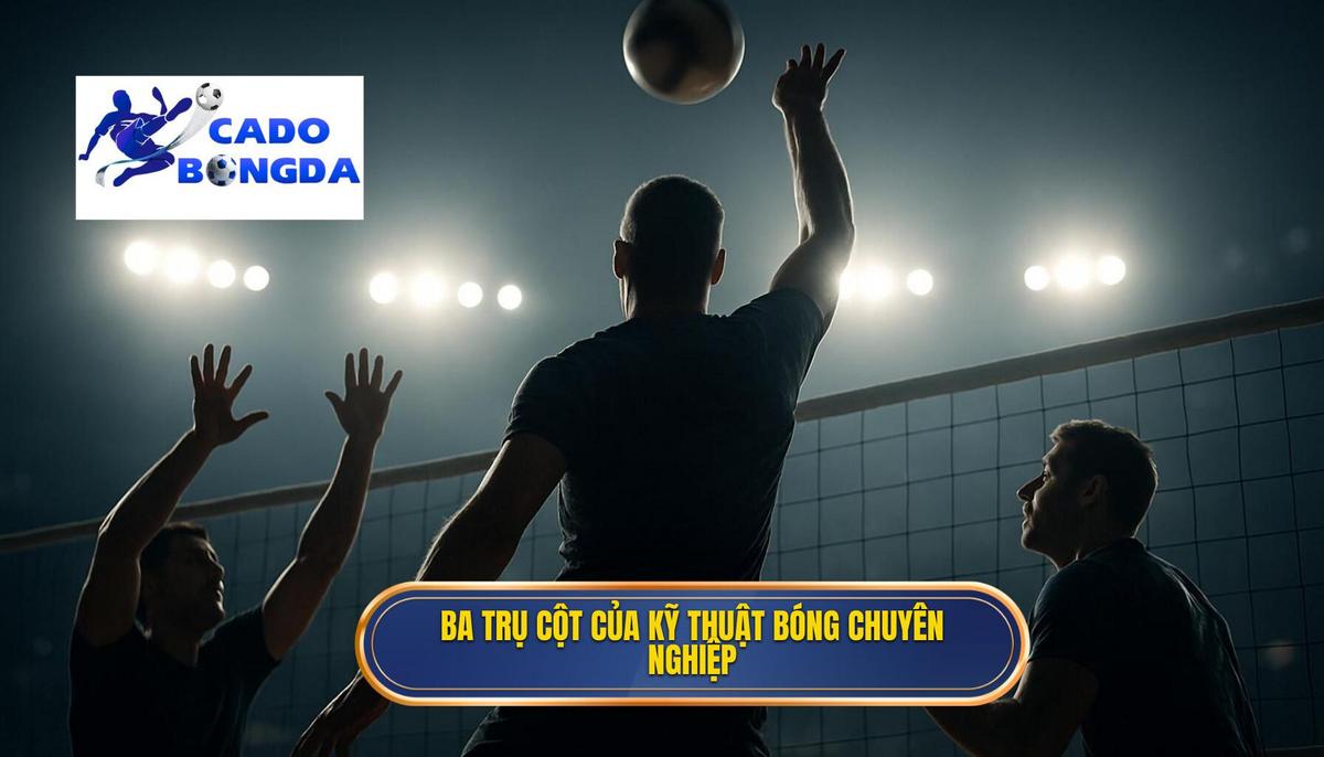 Ba Trụ Cột Của Kỹ Thuật Đánh Chặn Bóng Chuyên Nghiệp