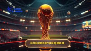 cá cược bóng đá World Cup