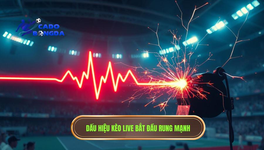 Dấu hiệu nhận biết thời điểm kèo live bắt đầu rung mạnh
