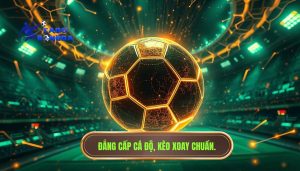 Kèo đang xoay theo nhịp trận